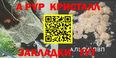СК Тара