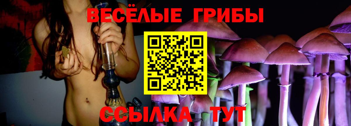 продажа наркотиков  Галлюциногенные грибы MAGIC MUSHROOMS  Вход с VPN  Галлюциногенные грибы MAGIC MUSHROOMS  Новороссийск 