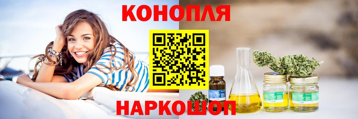 Канабис сатива Новороссийск